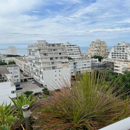 Annonces MAUGUIO : Appartement | LA GRANDE-MOTTE (34280) | 20.00m2 | 250 € 