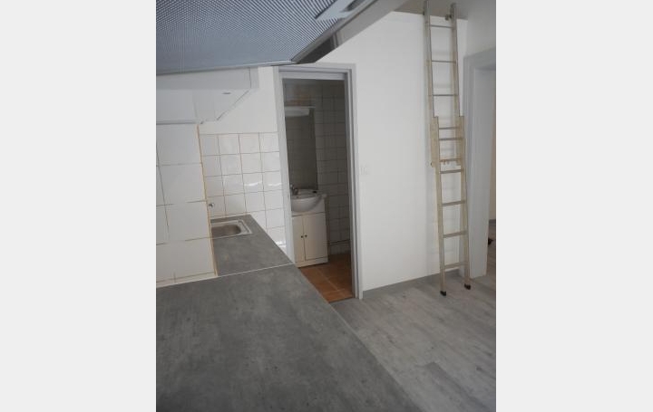 Annonces MAUGUIO : Appartement | MONTPELLIER (34000) | 24 m2 | 500 € 